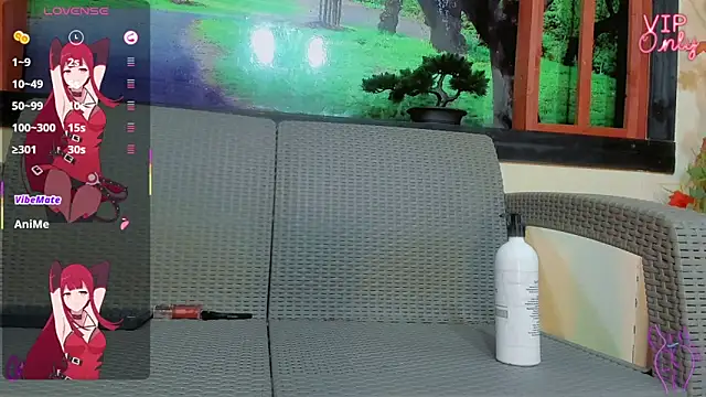 Angell_hornyn Webbikameraesitys
