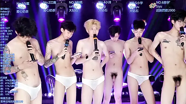 AOA-MIC Webcam show