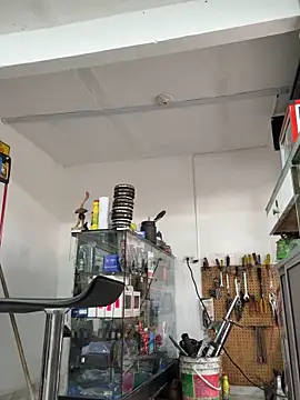 Paul22cm- Show Webcam