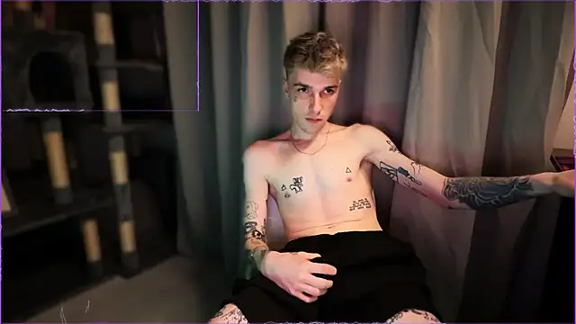 davesinner Webcam Show