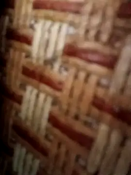 Živý XXX chat Meo-catwet