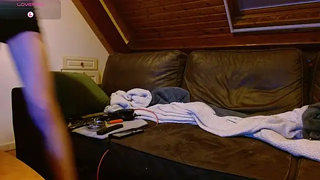 Vrenico-SC webkamerás műsora