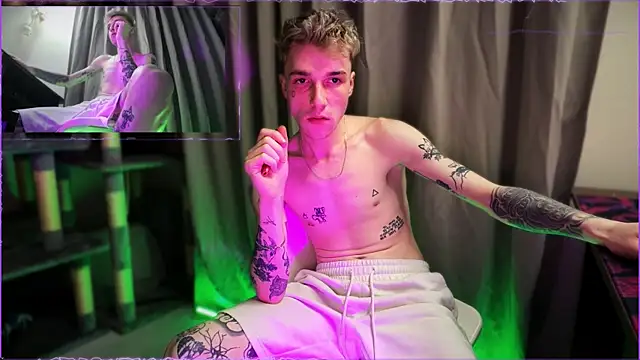davesinnern Webbikameraesitys
