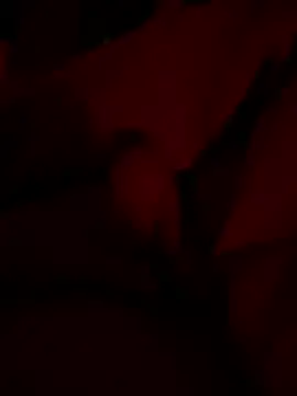 shark822 Webcam Show