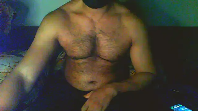 Vbestshow 网络视讯表演