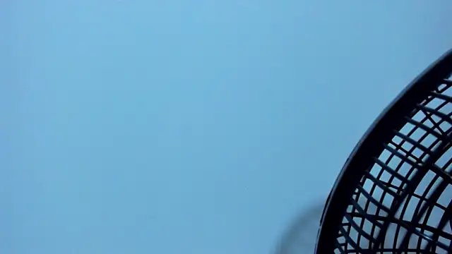 Benjamin_lich webcam show
