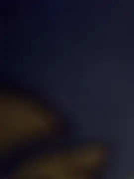 Premium-Jogurtn Webbikameraesitys