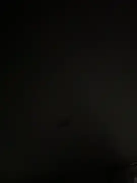 Kurtxxx22 웹캠 쇼