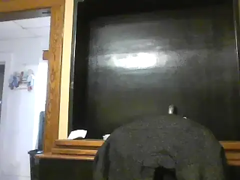 Show webcam de TheOneDonShaun