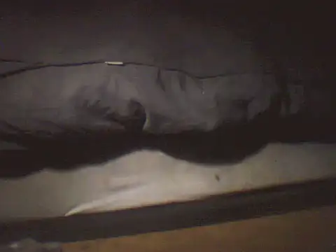 pietje1991 Webcam Show