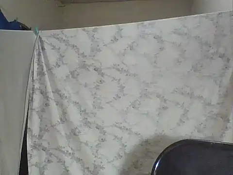 CaptainFox's Webcam Show
