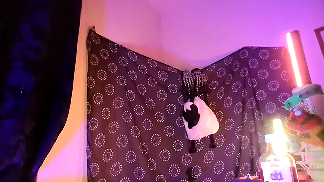 Guyst049のウェブカメラショー