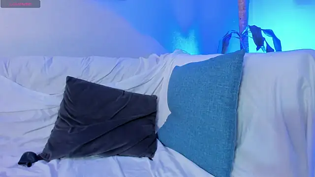 EthanSantorin Webbikameraesitys