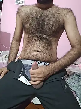 Webkamerová show hairy_boyi