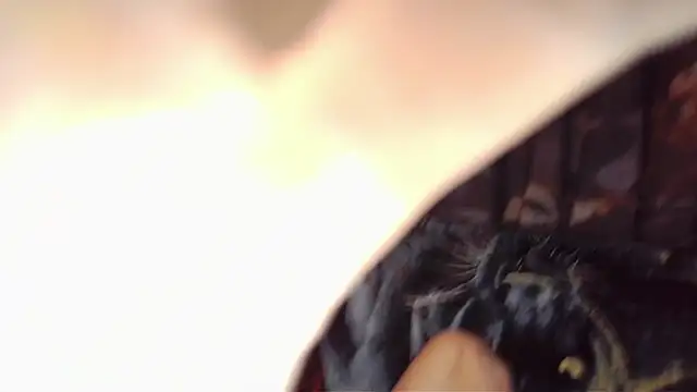 Chat XXX ao vivo de jamismu