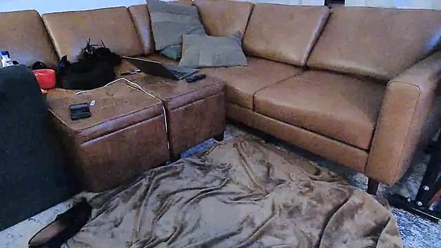 dress_socks_suits' Webcam Show