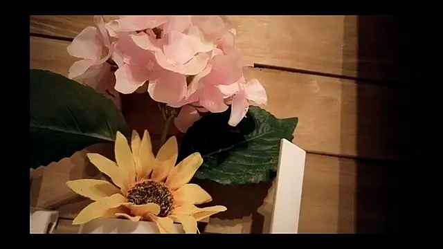 vickvalencia2のライブXXXチャット