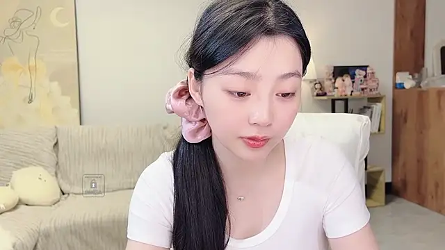 TaixiDiary Show Webcam