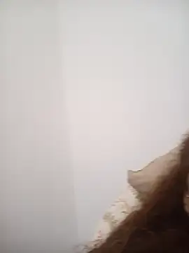 SOLTEIRASIGILOn Live XXX chat