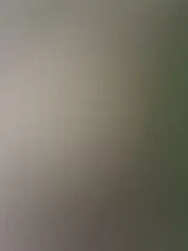 AnnyShore's Live XXX Chat