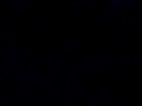 bobby69cock 现场XXX聊天