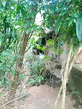 ngockem Pertunjukan Webcam