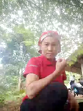 phlin1 在線直播表演