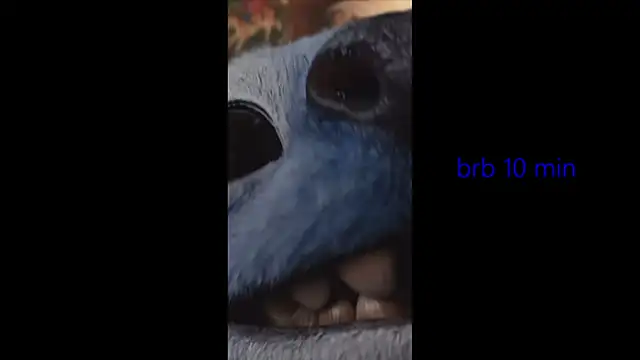 Онлайн чат XXX vinkitinkii