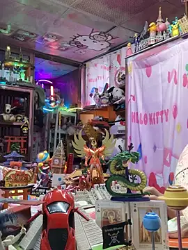 JesuAdamn Webbikameraesitys