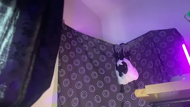 Guyst049's Webcam Show