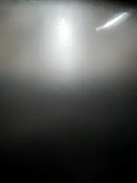 Canuseemeray 网络视讯表演