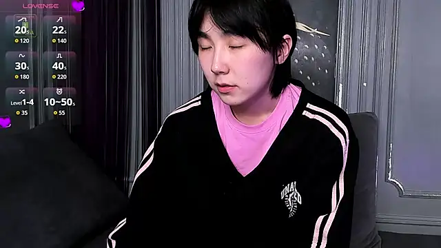 HeejinWang Webcamshow