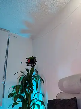 NayeCloud Live XXX-chat