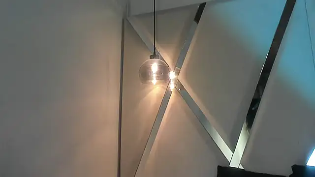 MeelFox Webcam-Show