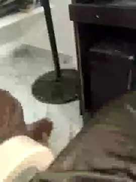 ursmanis Webcam Show