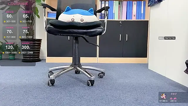 Shinjo-kun Show Webcam