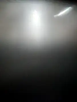 Canuseemeray Live XXX-Chat