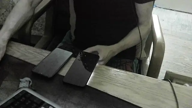 FiSTALiTYn Webbikameraesitys