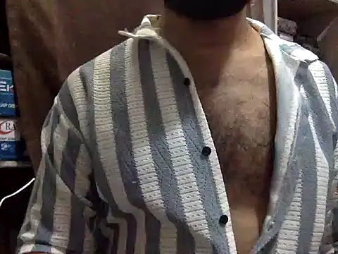 Dicksdealn Webbikameraesitys