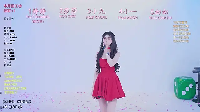 TY-002のウェブカメラショー