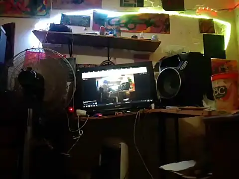 Show webcam de amoralall