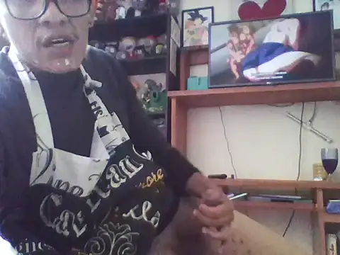 StuuyS Show Webcam