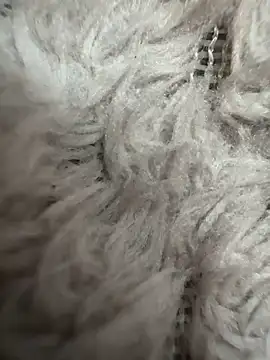 anonimgirl18old Live XXX-chat