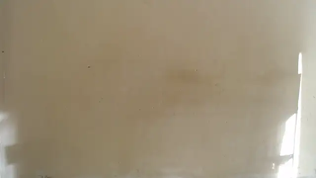 xSATIVAx Webcam-Show