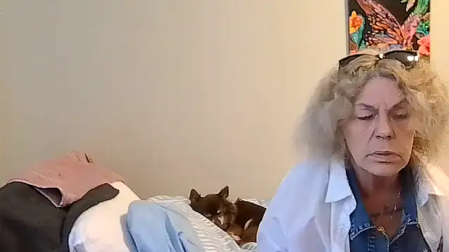 Chat XXX en directo de belgianshantie