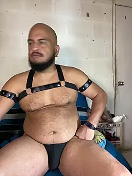 Show Webcam de the_master_foal_