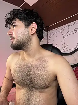 Samir_bear: διαδικτυακό σόου στην κάμερα