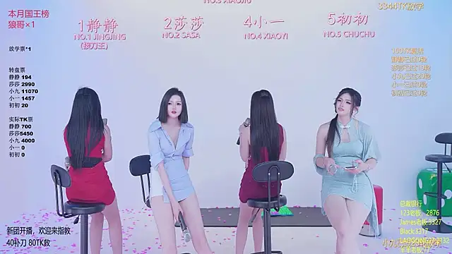TY-002 网络视讯表演