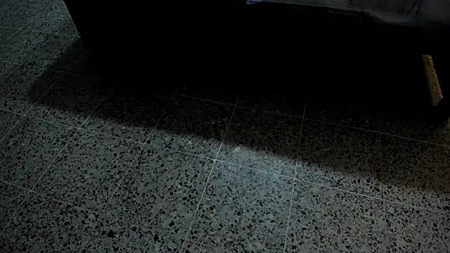 Show Webcam de SiaRose