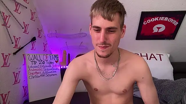 Cookieboy88 – Kamerová šou